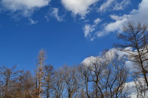 http://www.j-field.info/blog/assets_c/2012/01/空-thumb-300x200-1035.jpg