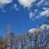 空.JPG