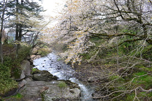 http://www.j-field.info/blog/assets_c/2012/05/湯川２-thumb-300x200-1287.jpg